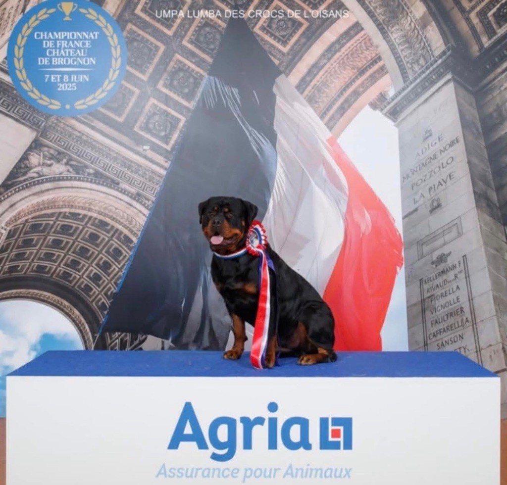 Umpa lumba Des Crocs De L'Oisans